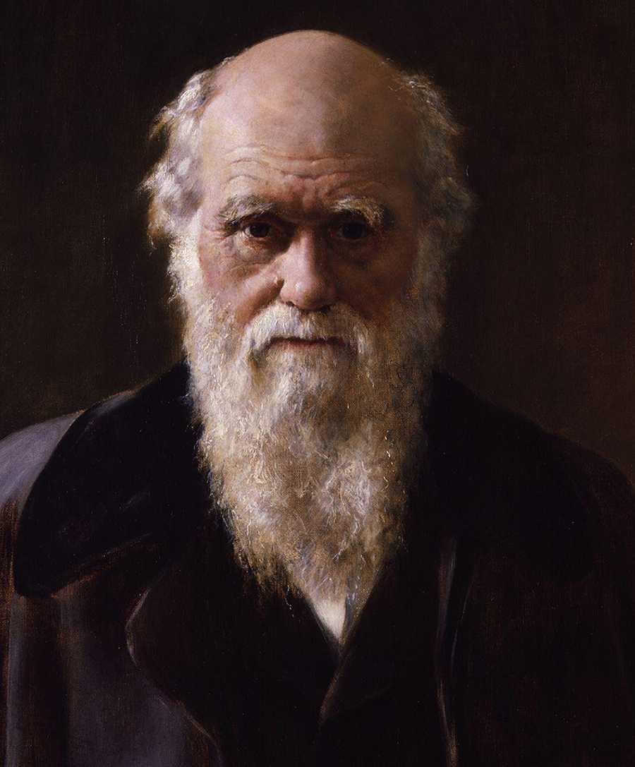 达尔文的进化论并不完整