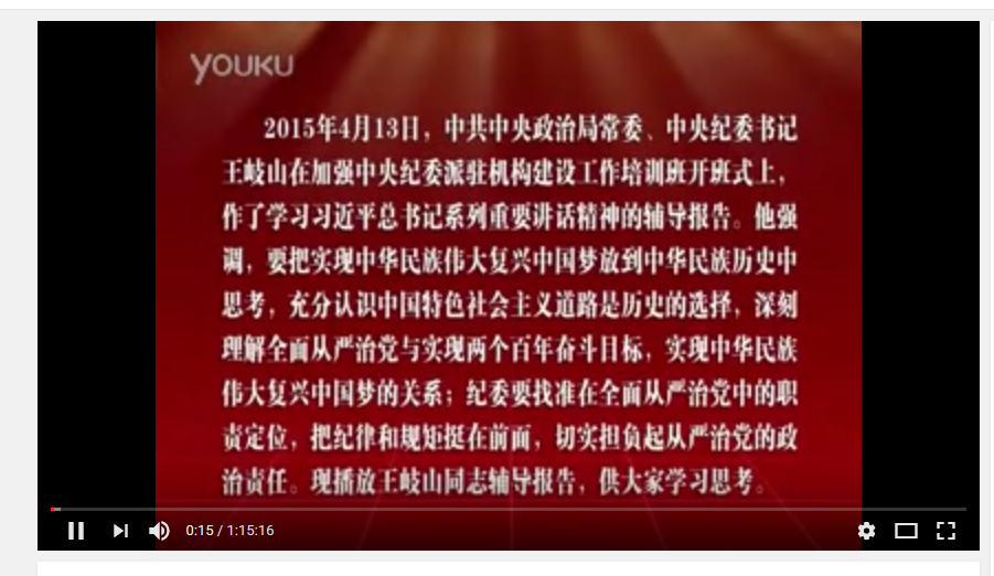 中央纪委书记王岐山2015年4月13日讲话观后感